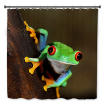 Red Eye Frog Poisonous Amphibian In A Tree Bath Decor 51622727