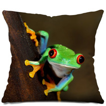 Red Eye Frog Poisonous Amphibian In A Tree Pillows 51622727