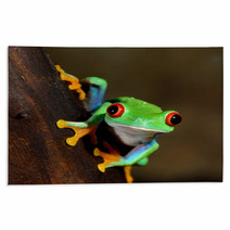 Red Eye Frog Poisonous Amphibian In A Tree Rugs 51622727