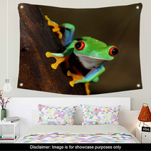 Red Eye Frog Poisonous Amphibian In A Tree Wall Art 51622727