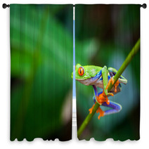 Red Eye Frog Window Curtains 60253562