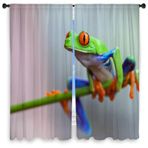 Red Eye Frog Window Curtains 60253596