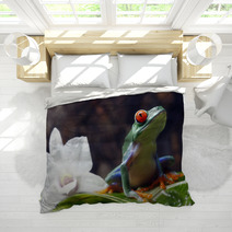 Red-eyed Tree Frog Bedding 34031590