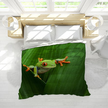 Red Eyed Tree Frog Bedding 43075717