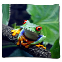 Red Eyed Tree Frog Blankets 34031112