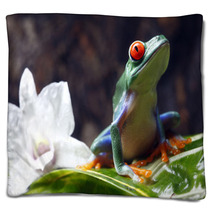 Red-eyed Tree Frog Blankets 34031590