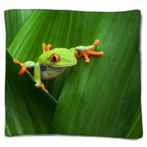 Red Eyed Tree Frog Blankets 43075717