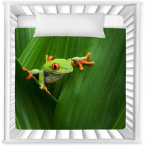 Red Eyed Tree Frog Nursery Decor 43075717