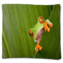 Red Eyed Tree Frog Peeping Blankets 43998822
