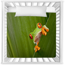 Red Eyed Tree Frog Peeping Nursery Decor 43998822