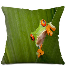 Red Eyed Tree Frog Peeping Pillows 43998822