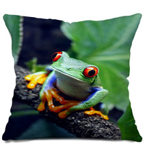 Red Eyed Tree Frog Pillows 34031112