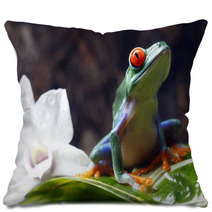 Red-eyed Tree Frog Pillows 34031590