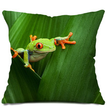 Red Eyed Tree Frog Pillows 43075717