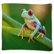 Red eyed Treefrog Agalychnis Callidryas Blankets 47838955