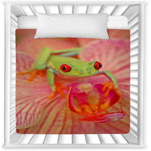 Red eyed Treefrog Agalychnis Callidryas Nursery Decor 47837495