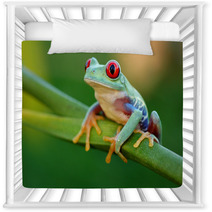 Red eyed Treefrog Agalychnis Callidryas Nursery Decor 47838955