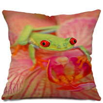 Red eyed Treefrog Agalychnis Callidryas Pillows 47837495