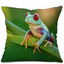 Red eyed Treefrog Agalychnis Callidryas Pillows 47838955