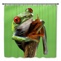 Red Eyed Treefrog Macro Isolated Exotic Frog Curious Animal Brig Bath Decor 53740777