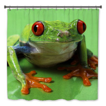 Red Eyed Treefrog Macro Isolated Exotic Frog Curious Animal Brig Bath Decor 53740800