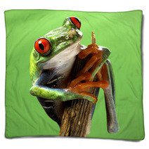 Red Eyed Treefrog Macro Isolated Exotic Frog Curious Animal Brig Blankets 53740777