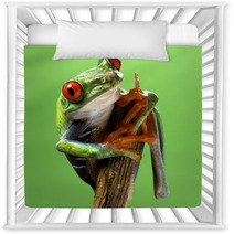 Red Eyed Treefrog Macro Isolated Exotic Frog Curious Animal Brig Nursery Decor 53740777
