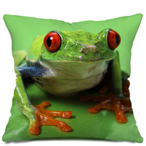 Red Eyed Treefrog Macro Isolated Exotic Frog Curious Animal Brig Pillows 53740800