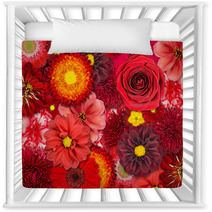 Red Flower Background Nursery Decor 42794243
