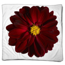 Red Flower Blankets 45091616