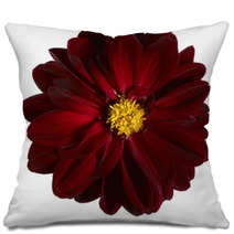 Red Flower Pillows 45091616
