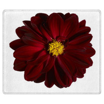 Red Flower Rugs 45091616