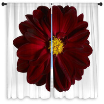 Red Flower Window Curtains 45091616