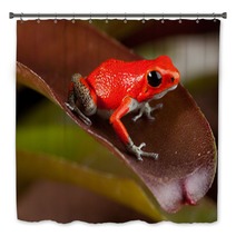 Red Frog Bath Decor 43998954