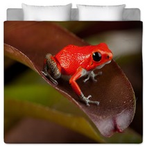 Red Frog Bedding 43998954