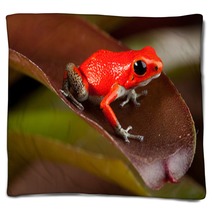 Red Frog Blankets 43998954