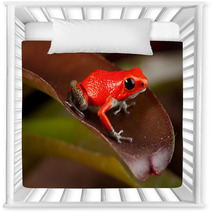 Red Frog Nursery Decor 43998954