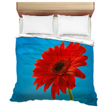 Red Gerbera Daisy Flower Isolated On Blue Background Bedding 61260452