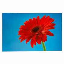 Red Gerbera Daisy Flower Isolated On Blue Background Rugs 61260452