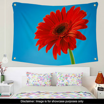 Red Gerbera Daisy Flower Isolated On Blue Background Wall Art 61260452