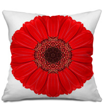 Red Gerbera Mandala Flower Kaleidoscopic Isolated On White Pillows 58518211