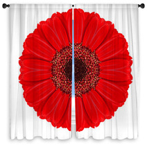 Red Gerbera Mandala Flower Kaleidoscopic Isolated On White Window Curtains 58518211