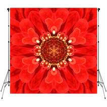 Red Mandala Concentric Flower Center Kaleidoscope Backdrops 72408927