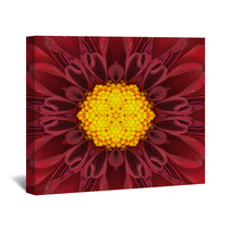 Red Mandala Concentric Flower Center Kaleidoscope Wall Art 66477068