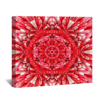 Red Mandala Concentric Flower Center Kaleidoscope Wall Art 66477108