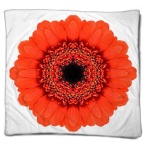 Red Mandala Gerbera Flower Kaleidoscope Isolated On White Blankets 57611387