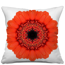 Red Mandala Gerbera Flower Kaleidoscope Isolated On White Pillows 57611387