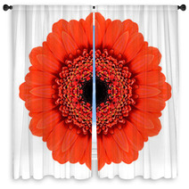 Red Mandala Gerbera Flower Kaleidoscope Isolated On White Window Curtains 57611387