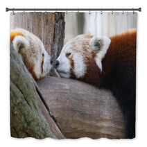 Red Or Lesser Pandas (Ailurus Fulgens) Are Resting On A Tree Bath Decor 63294512