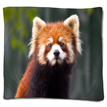 Red panda 1 Blankets 94213310